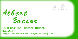 albert bocsor business card